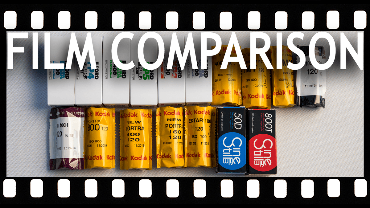 All Color And Black And White Film Stocks Compared - The Slanted Lens