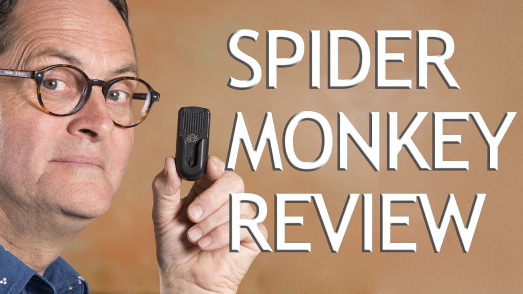 Spider Monkey - The Slanted Lens