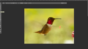 Hummingbird_Patch_Tool