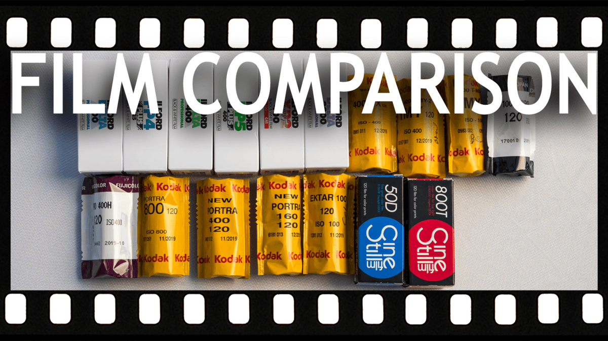 Film Stock Comparison of Fuji 400h Vs Portra 400 Vs Portra 800