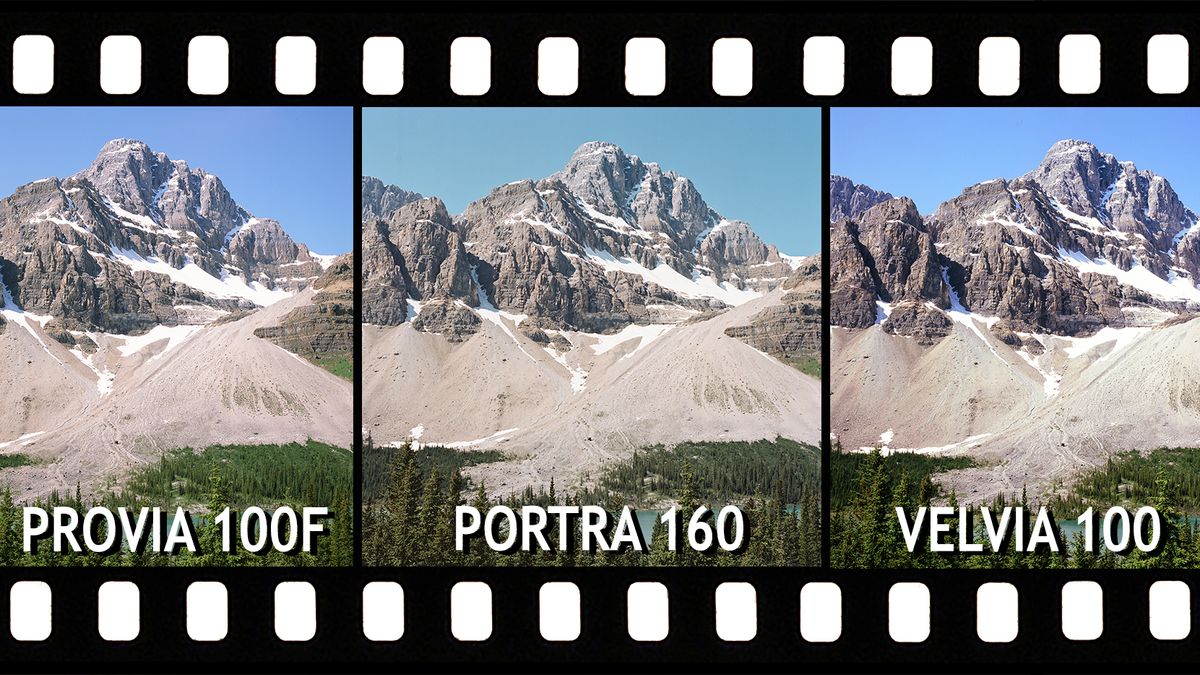 Slide Film vs Color Negative: Portra 160, Provia 100F & Velvia 100 - The  Slanted Lens