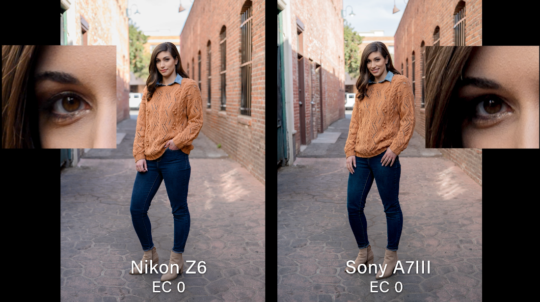 Nikon Z6 vs a7III | 2019 Mirrorless Camera Comparison
