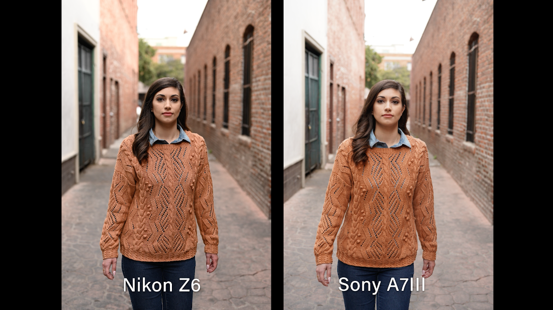 Nikon Z6 vs a7III | 2019 Mirrorless Camera Comparison