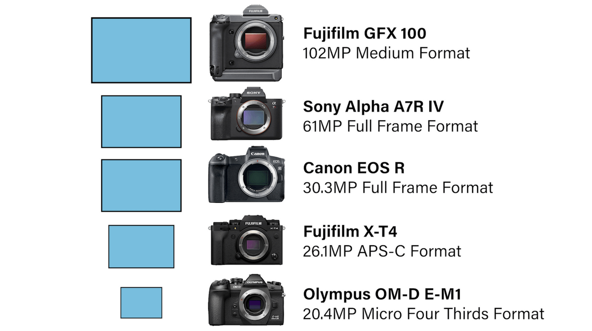 Does Sensor Size REALLY Matter? Camera Sensor Size Comparison Part 2 ...